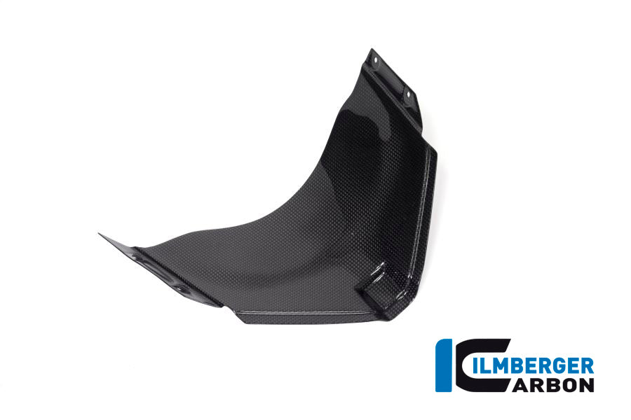 Ilmberger Carbon Panel Under The Front Fairing Ducati Panigale V4 Racing