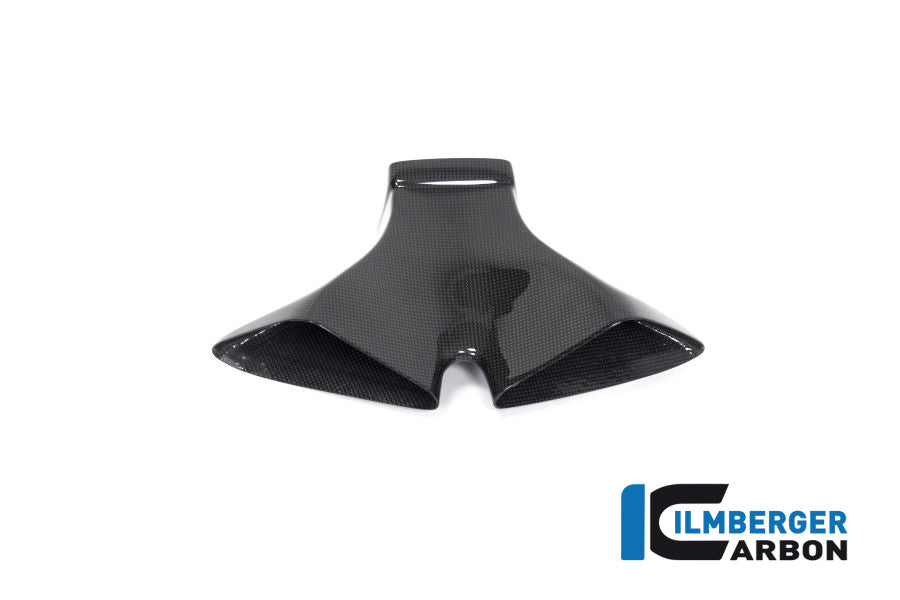 Ilmberger Carbon Air Intake On The Front Fairing Ducati Panigale V4 Racing - Gloss