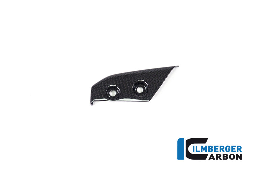 Ilmberger Carbon Instrument Cover Ducati Panigale V4 / V4 S - Gloss