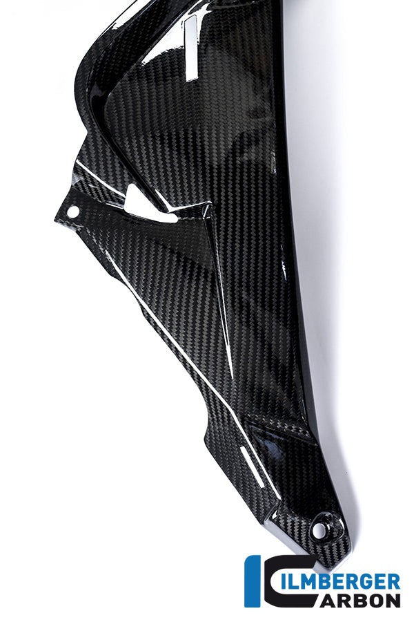 Ilmberger Carbon Water Radiator Cover Right Carbon