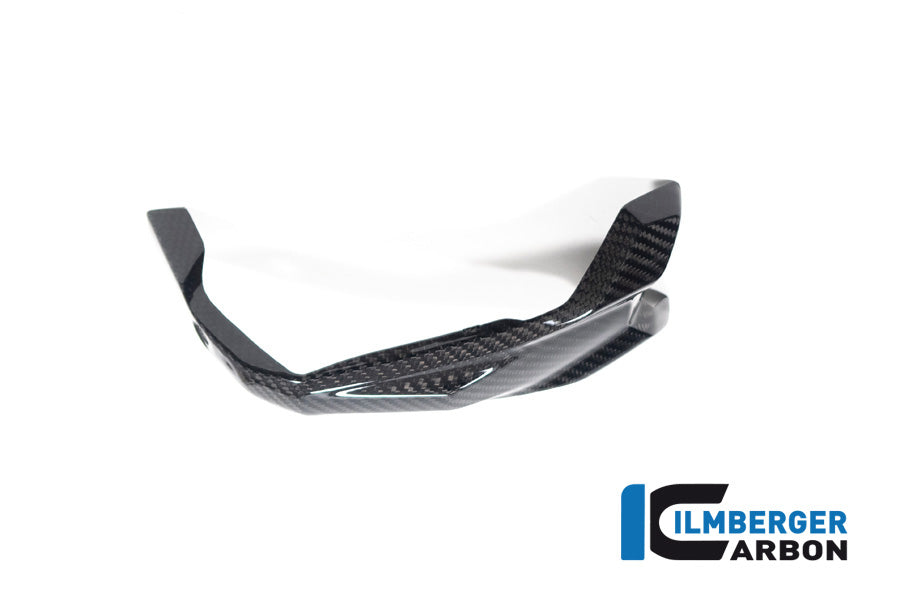 Ilmberger Carbon Spark Plug Access Cover Left BMW R 1300 GS - Gloss / Twill