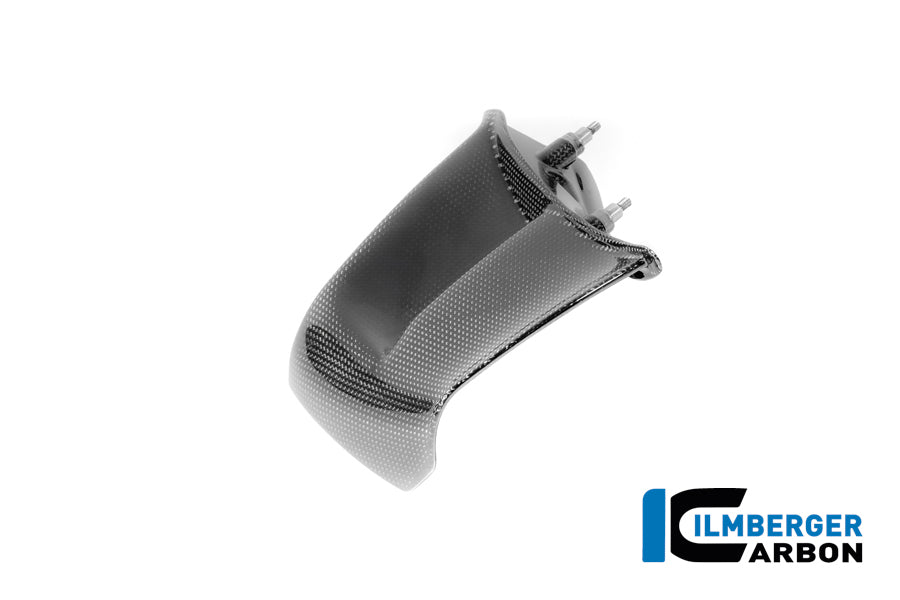 Ilmberger Carbon Winglet Left Ducati Panigale V4 2025-2026 - Gloss / Plain