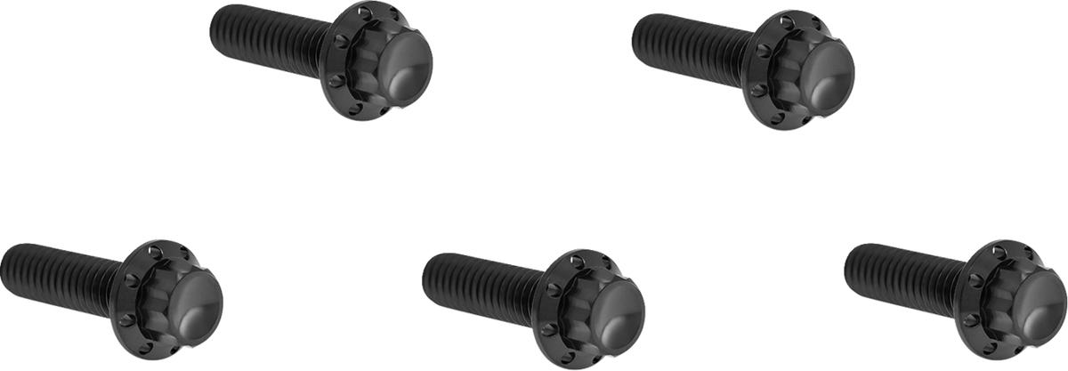 Arlen NESS Derby Cover 12-Point Titanium Bolt Kit