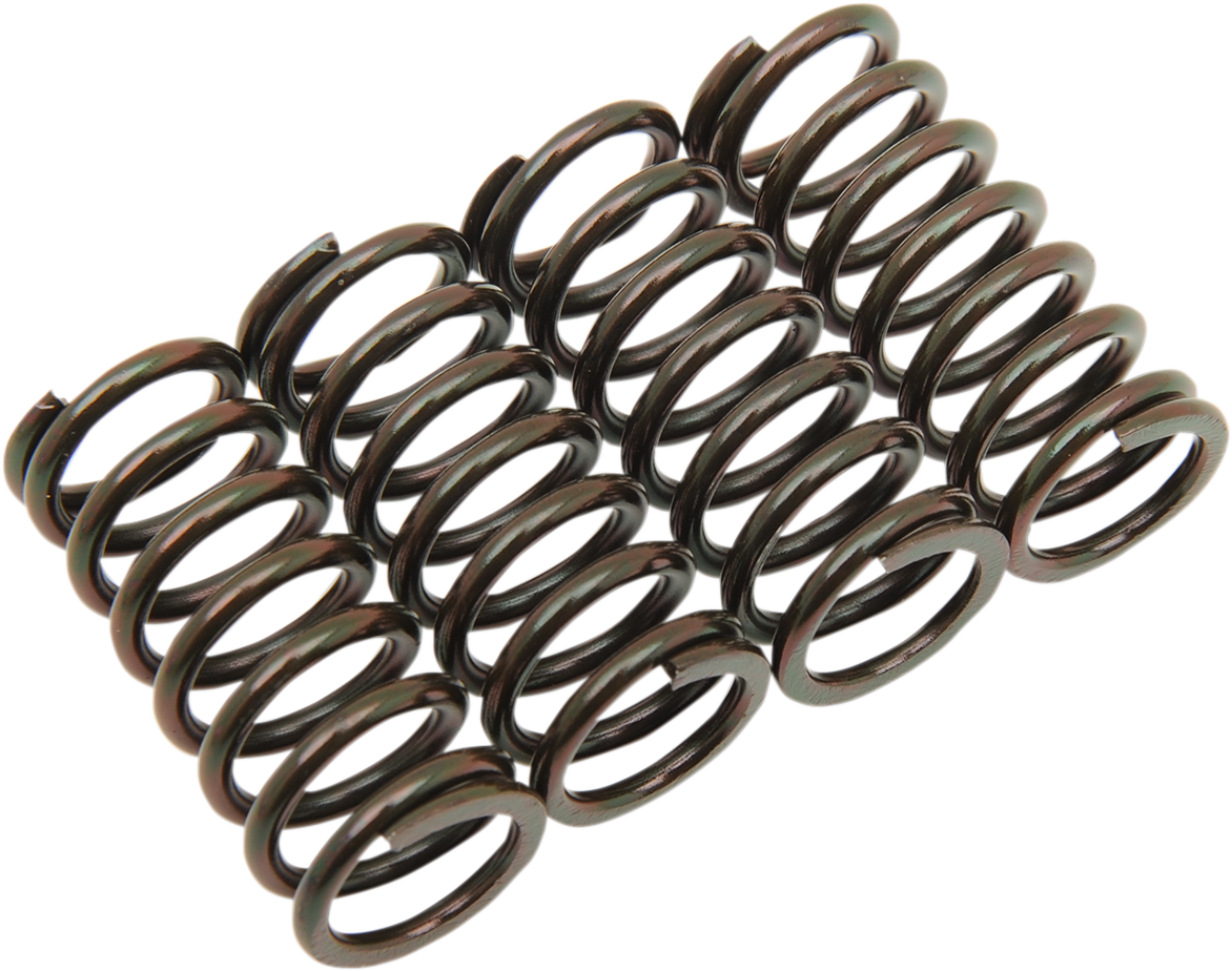 Barnett Clutch Spring Set - Honda/Suzuki