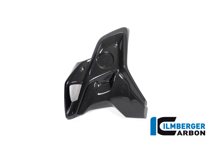 Ilmberger Carbon Airtube Left Incl. Flap (2 Pieces) BMW R 1250 GS