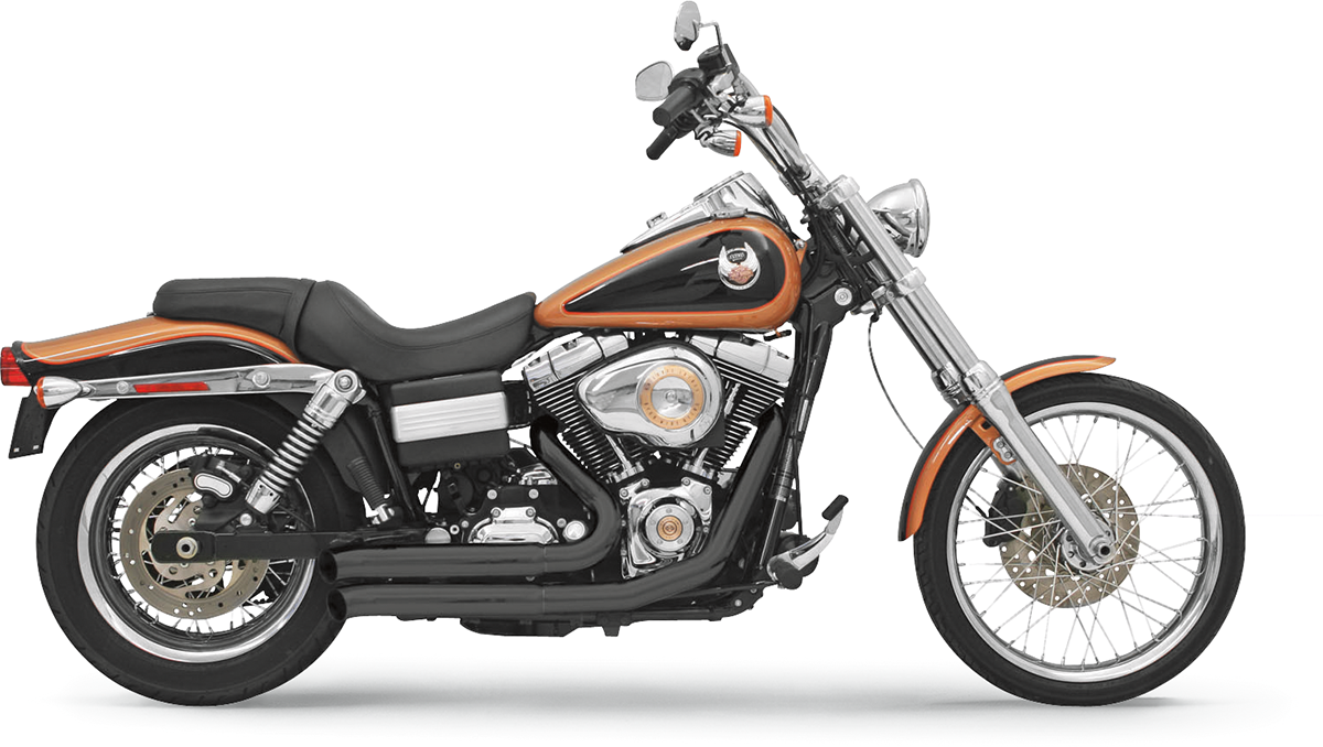 Bassani Xhaust FireSweep Exhaust - Black - FXD