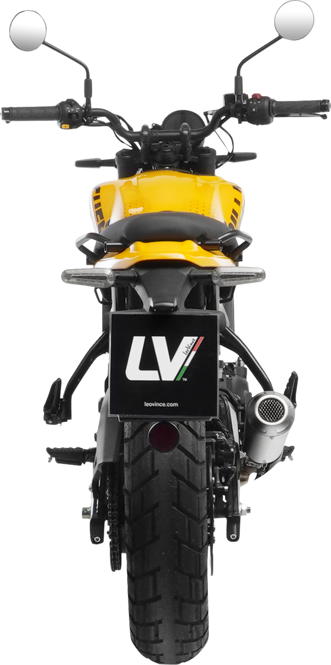 LeoVince LV-10 Slip-On Muffler - Matte / Natural