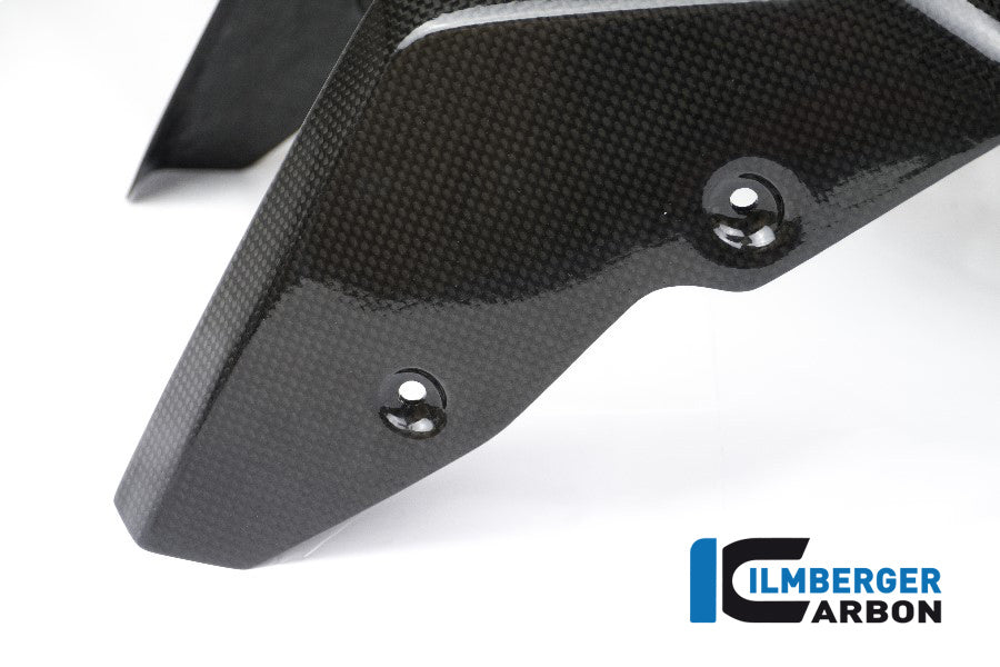 Ilmberger Carbon Front Fender BMW R NineT