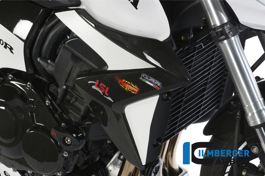 Ilmberger Carbon Water Radiator Cover Right Carbon