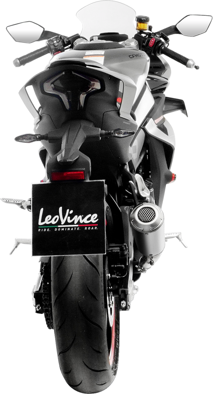 LeoVince LV-10 Slip-On Muffler
