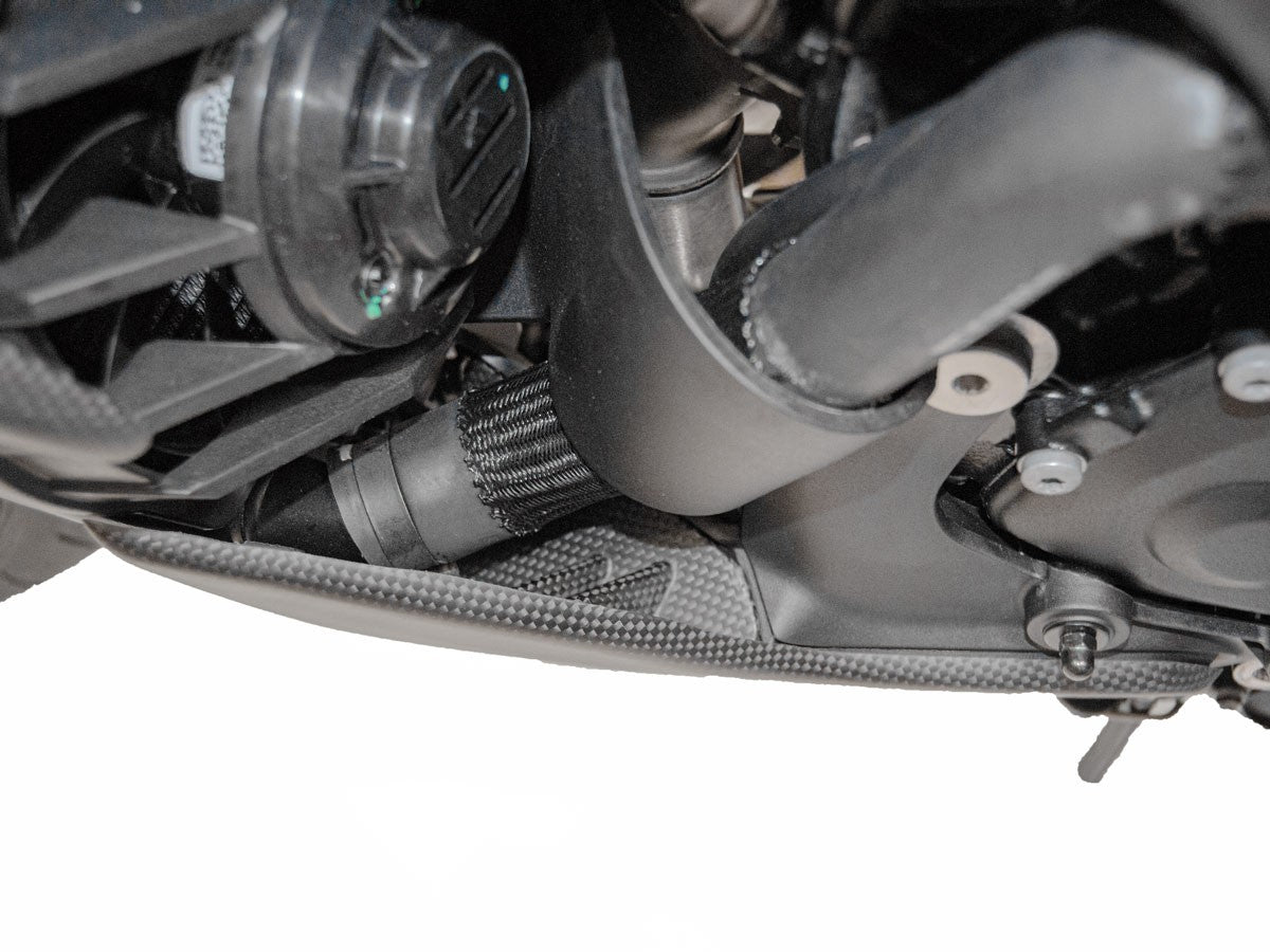 Ducabike DBK CRB72O Diavel V4 Matte Carbon Side Support