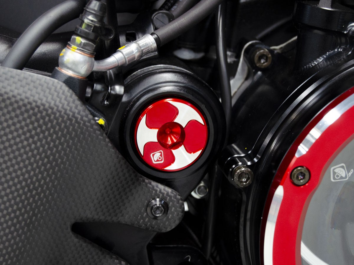 Ducabike DBK TTF08 DIAVEL V4 KIT CENTRAL FRAME CAPS (Swing Arm)