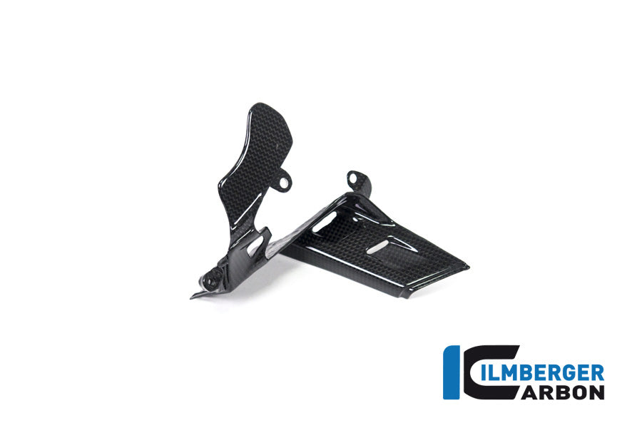 Ilmberger Carbon Instrument Cover Ducati Panigale V4 / V4 S - Gloss