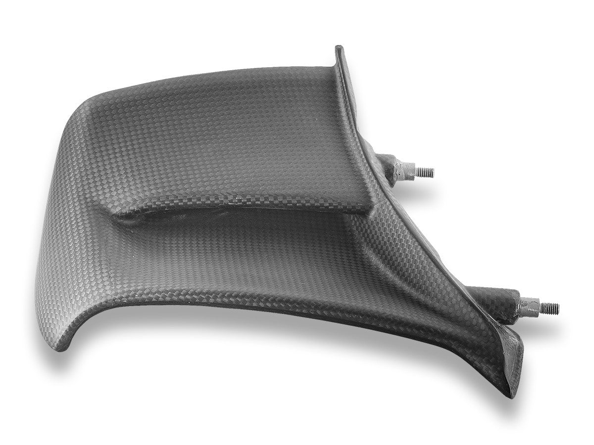 Ducabike DBK Ducati Panigale V4 2025 Matt Carbon Side Winglets