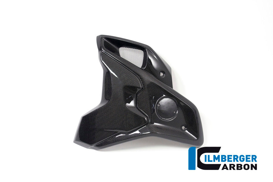 Ilmberger Carbon Airtube Left Side Complete Incl Flap BMW R 1200 GS´17