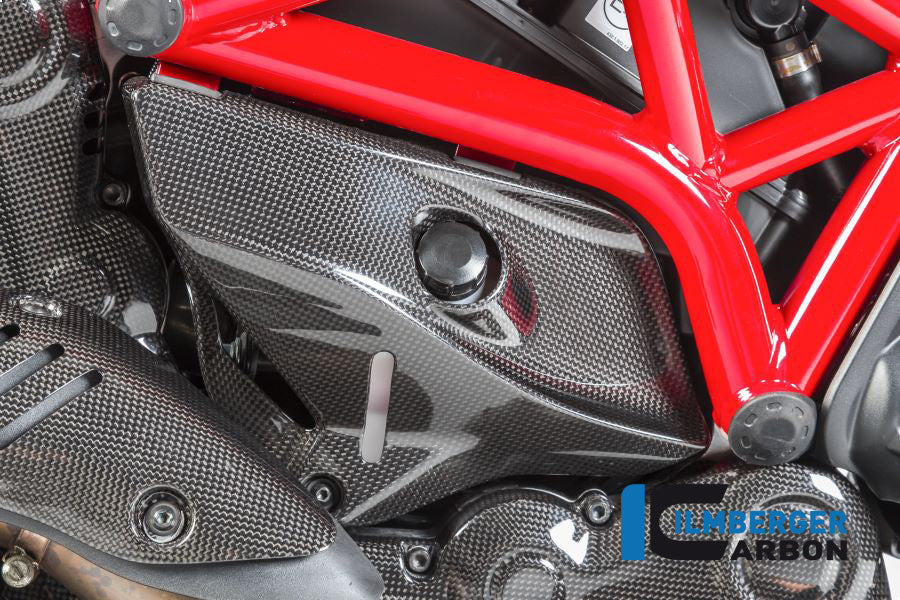 Ilmberger Carbon Cover Under The Frame Right - Gloss