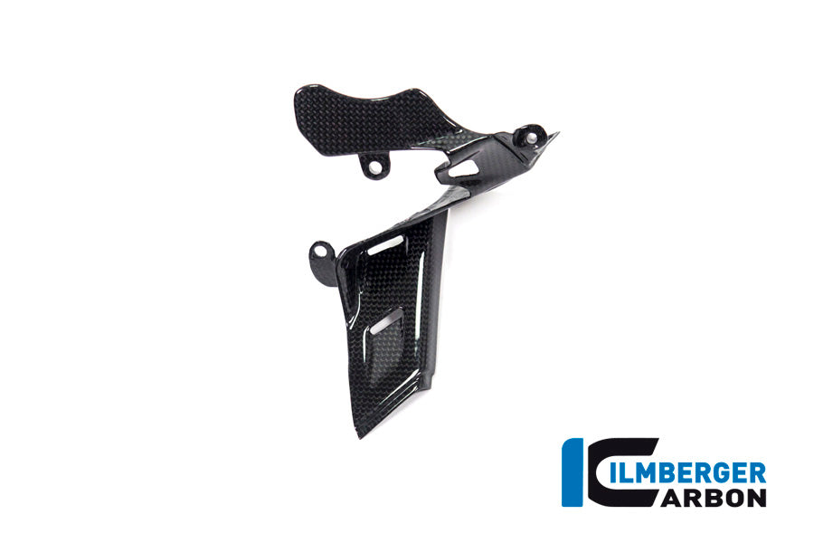 Ilmberger Carbon Instrument Cover Ducati Panigale V4 / V4 S