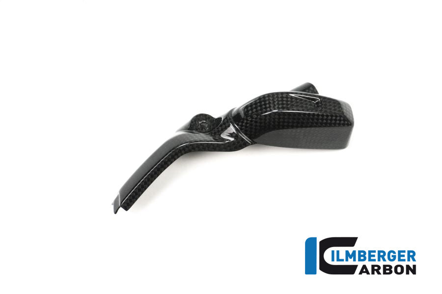 Ilmberger Carbon Injector Cover Left Side Carbon - BMW R 1200 GS (LC) From 2013 To 2015