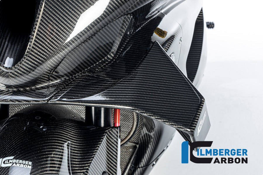 Ilmberger Carbon Winglet Left Side BMW M 1000 RR MY From 2023