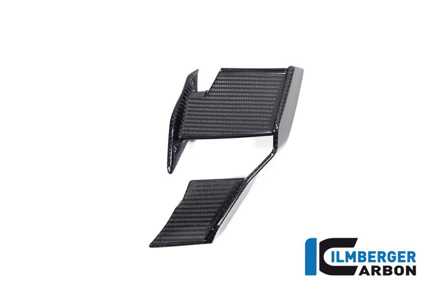 Ilmberger Carbon Winglet Left BMW M1000R 2023