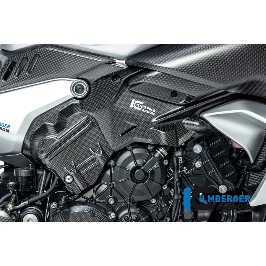 Ilmberger Carbon Fiber Right Side Engine Cover Ducati Diavel V4