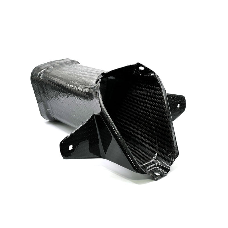 Ilmberger Carbon Fiber Air Intake for BMW M1000RR K66 2023-2026