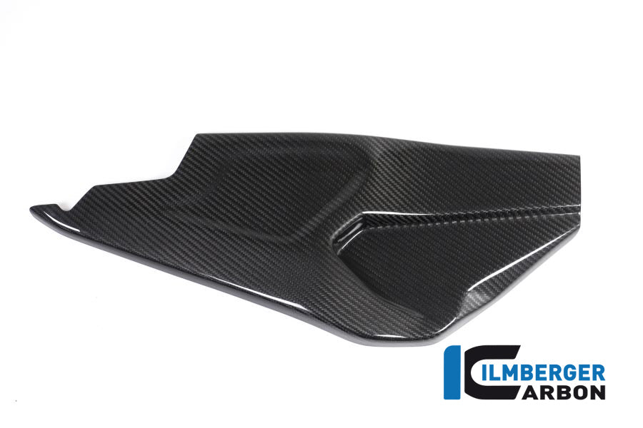 Ilmberger Carbon Swing Arm Cover Right Side BMW HP4 RACE