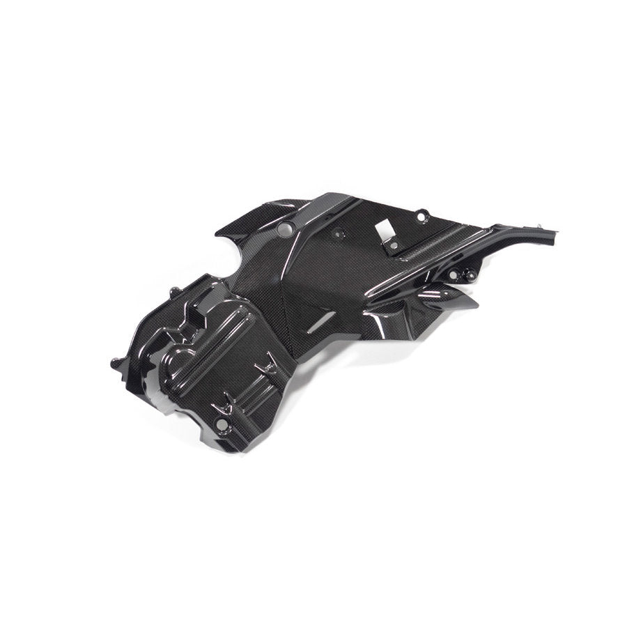 Ilmberger Carbon Fiber Right Side Engine Cover Ducati Diavel V4