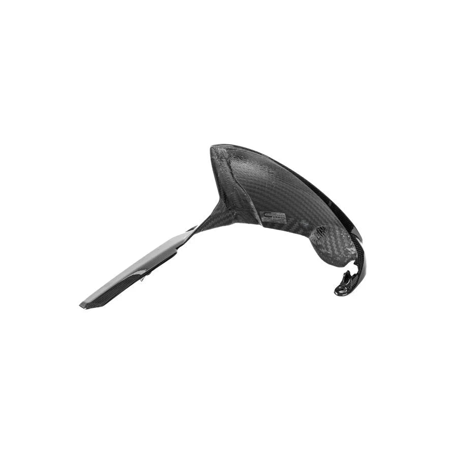 Ilmberger Carbon Rear Hugger For Ducati Panigale V4 V4S Tricolore