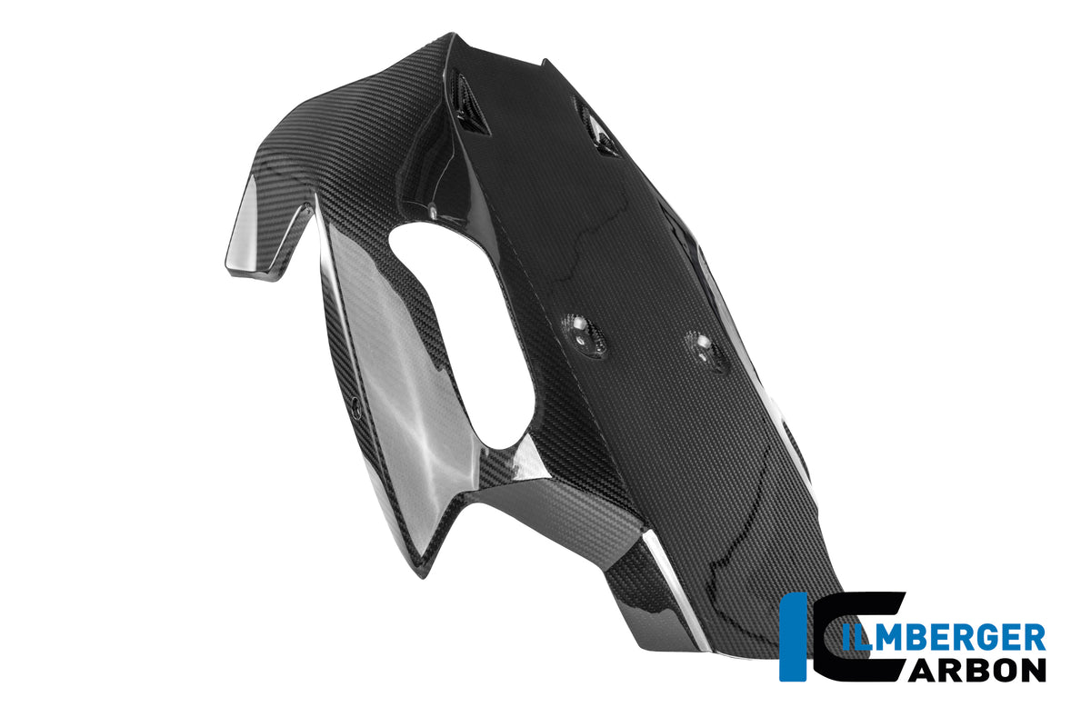 Ilmberger Carbon Motor Spoiler BMW R 1300 R - Gloss / Twill