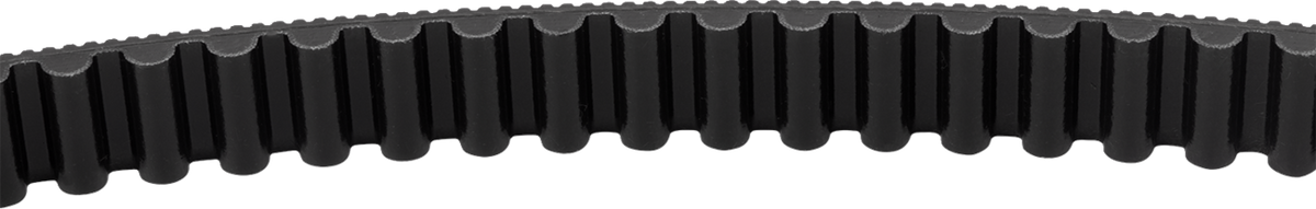 S&amp;S Cycle Drive Belt - 134 Tooth - 24 MM - M8 Softail