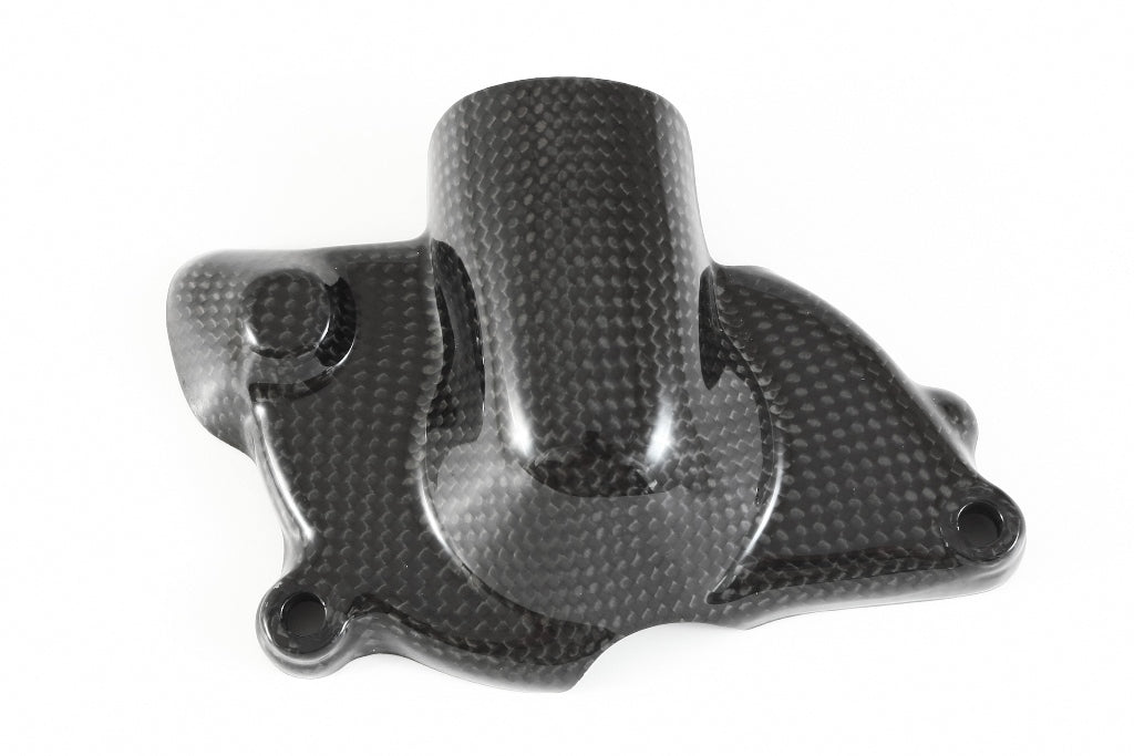 Fullsix Carbon Water Pump Protection Guard