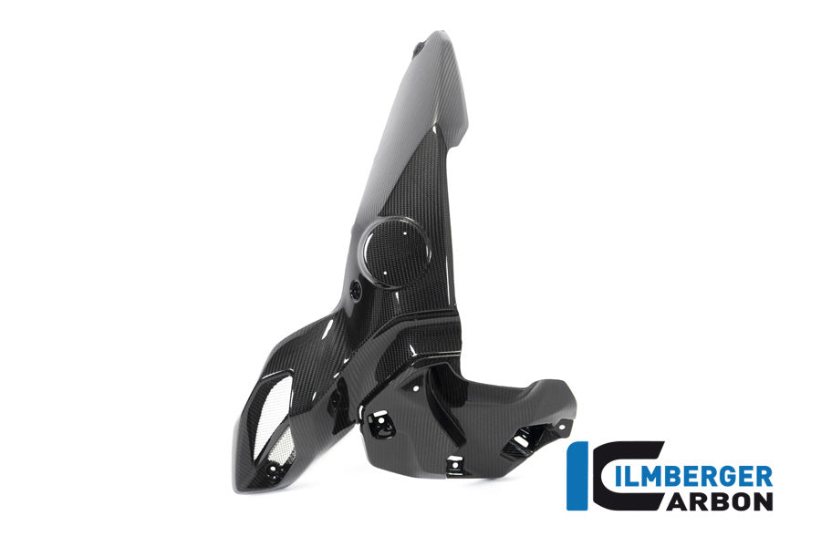 Ilmberger Carbon Airtube Left Side BMW R 1250 GS Adventure MY From 2019