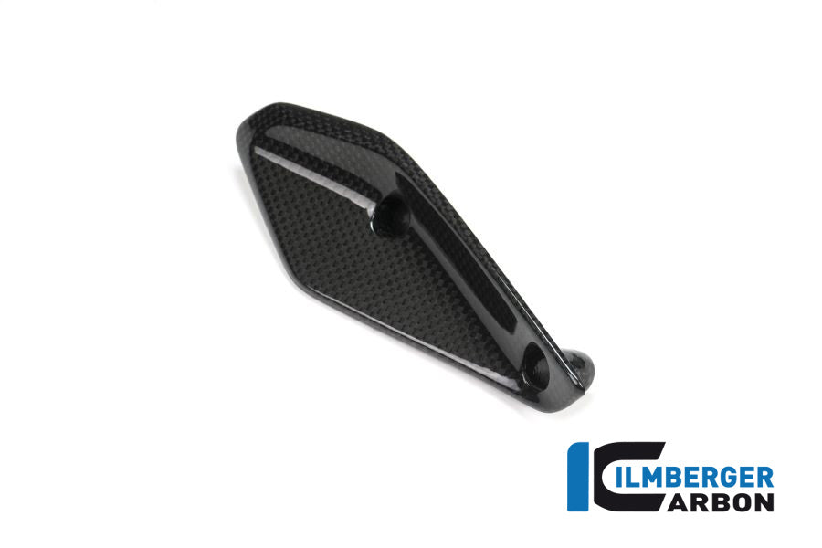 Ilmberger Carbon Verkleidungswinglet Rechts BMW R 1200 RS Bj 2015-2018