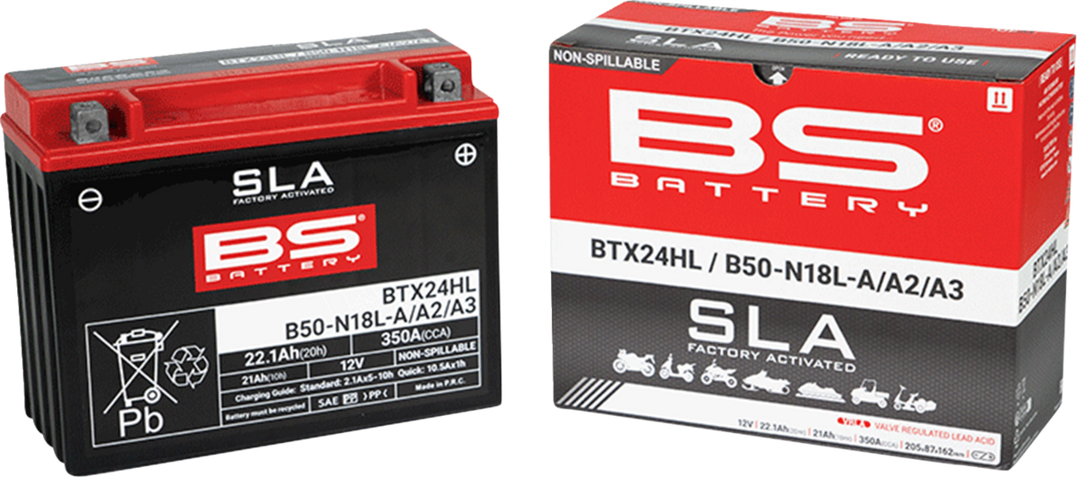 BS Battery Battery - BTX24HL (YTX)