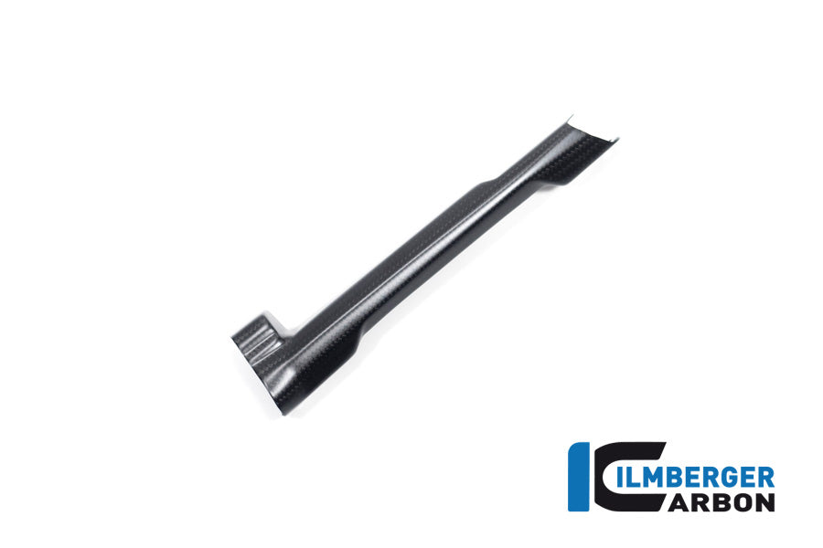 Ilmberger Carbon Brake Tube Cover BMW R 1300 GS - Matte / Twill