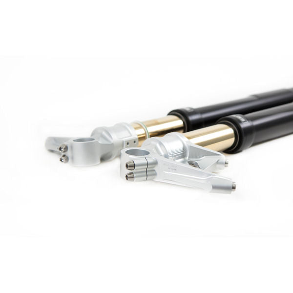 Ohlins FGRT 214 Black Series Road & Track Front Forks for Panigale V4