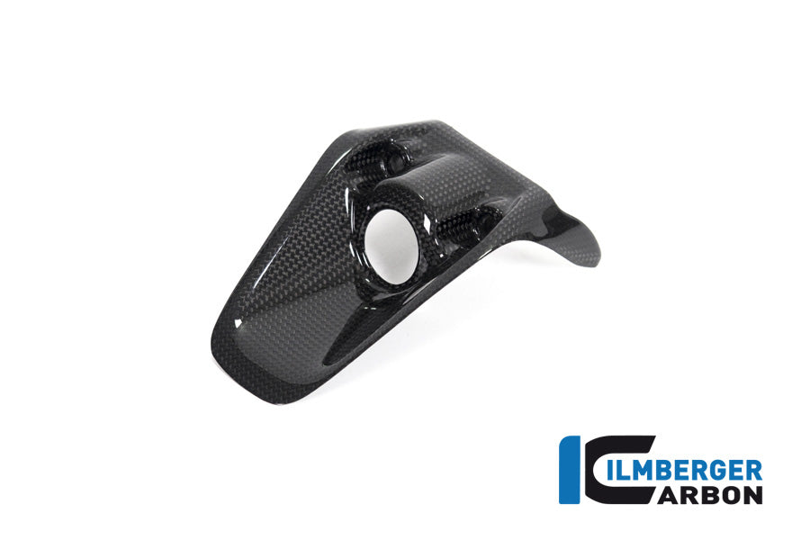 Ilmberger Carbon Ignition Switch Cover Ducati Monster 1200R - Gloss