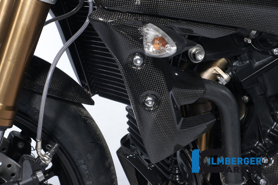 Ilmberger Carbon Water Radiator Cover Left Carbon
