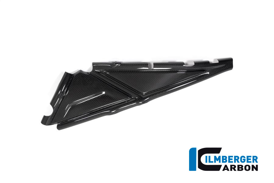 Ilmberger Carbon Subframe Cover Left Side BMW R 1250 GS