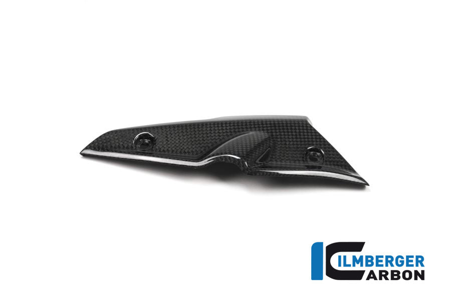 Ilmberger Carbon Injector Cover - BMW R NineT