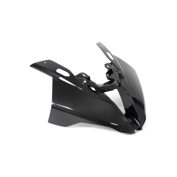 Ilmberger Carbon Fiber Headlight Front Fairing Panel BMW S1000RR K67