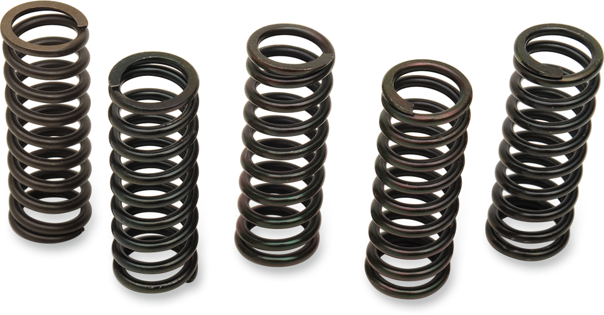 Barnett Clutch Spring Set - Honda/Triumph