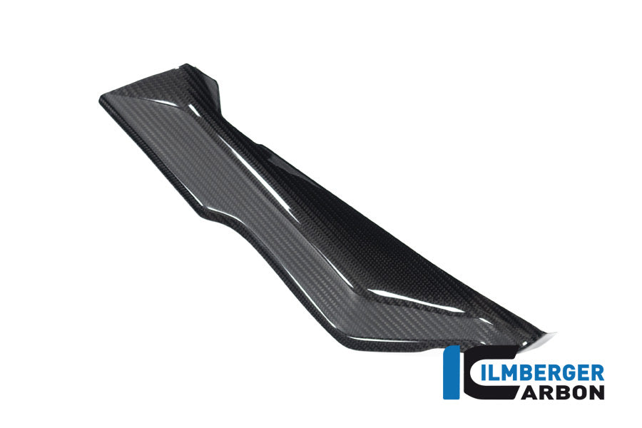 Ilmberger Carbon Cover Under The Front Fairing Right Side BMW R 1250 RS