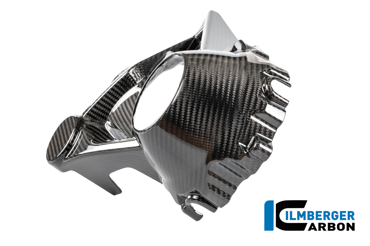 Ilmberger Carbon Tank Cover Top Carbon Glossy BMW R 1300 R