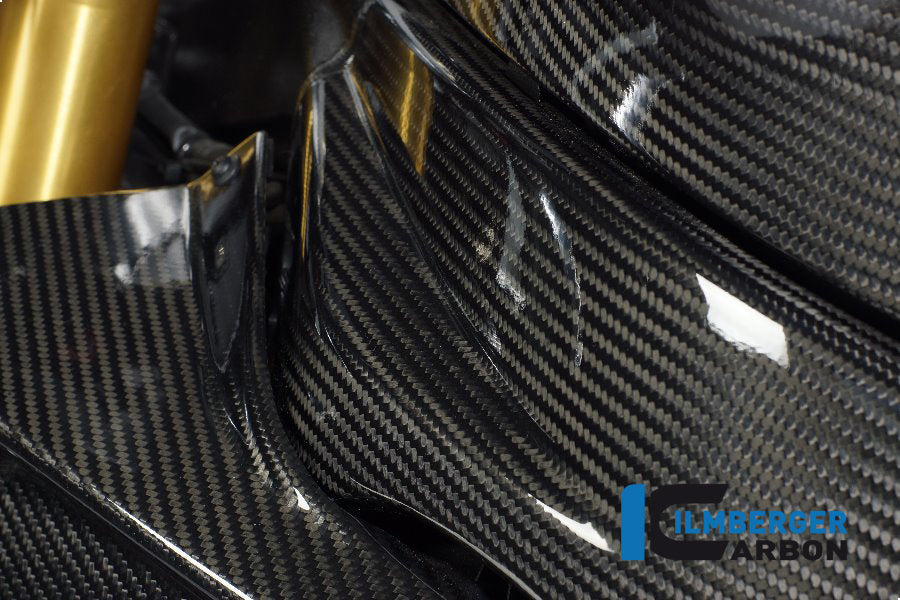 Ilmberger Carbon Frame Cover Left 2012 Carbon