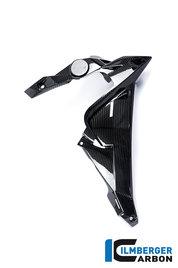 Ilmberger Carbon Water Radiator Cover Right Carbon
