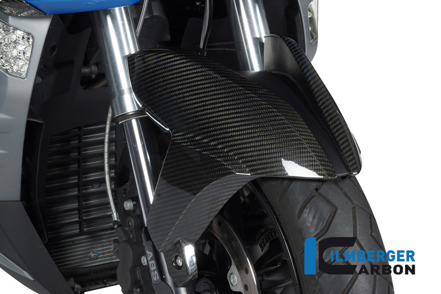 Ilmberger Carbon Front Fender BMW C600 Sport Left/Right