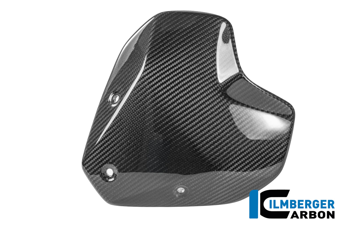 Ilmberger Carbon Windshield With Holder BMW R 1300 R - Gloss / Twill