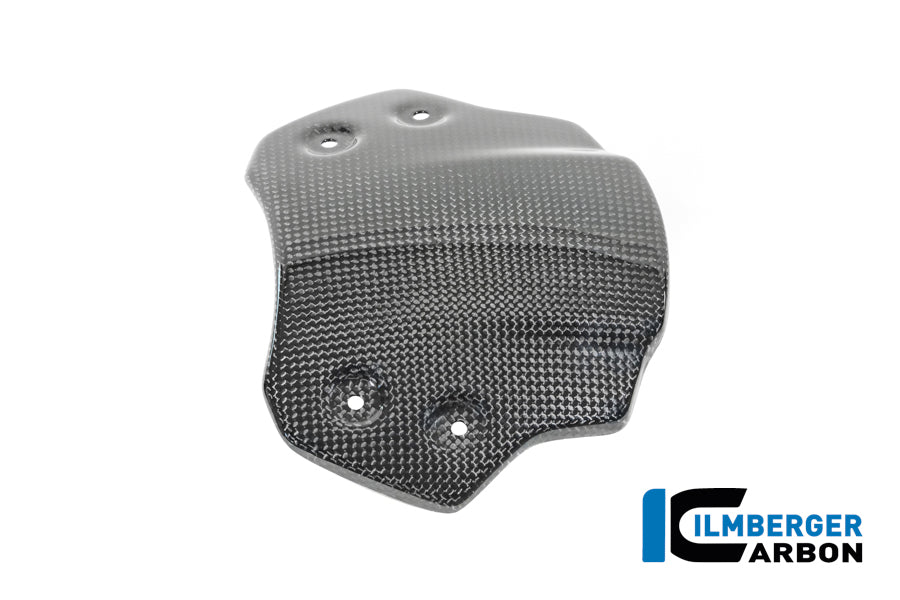 Ilmberger Carbon Windshield BMW R12 NineT - Gloss / Twill